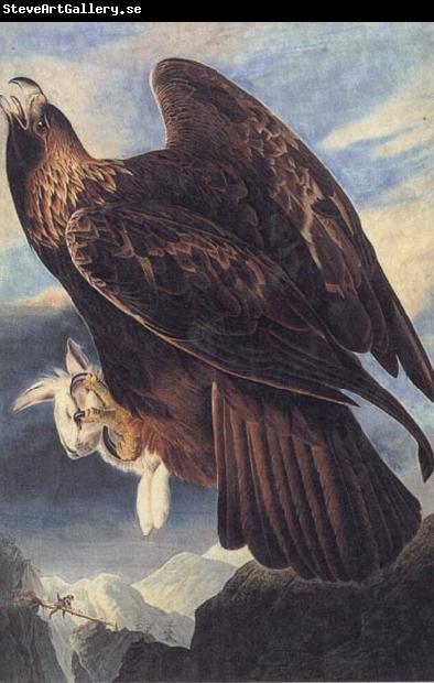 John James Audubon Golden Eagle